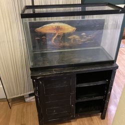 30 gallon fish tank aquarium and stand