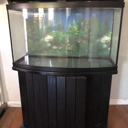 46 Gallon Bowfront Aquarium tank 