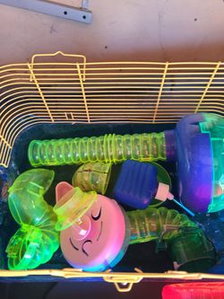 Hamster stuff