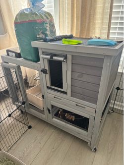 Rabbit Hutch