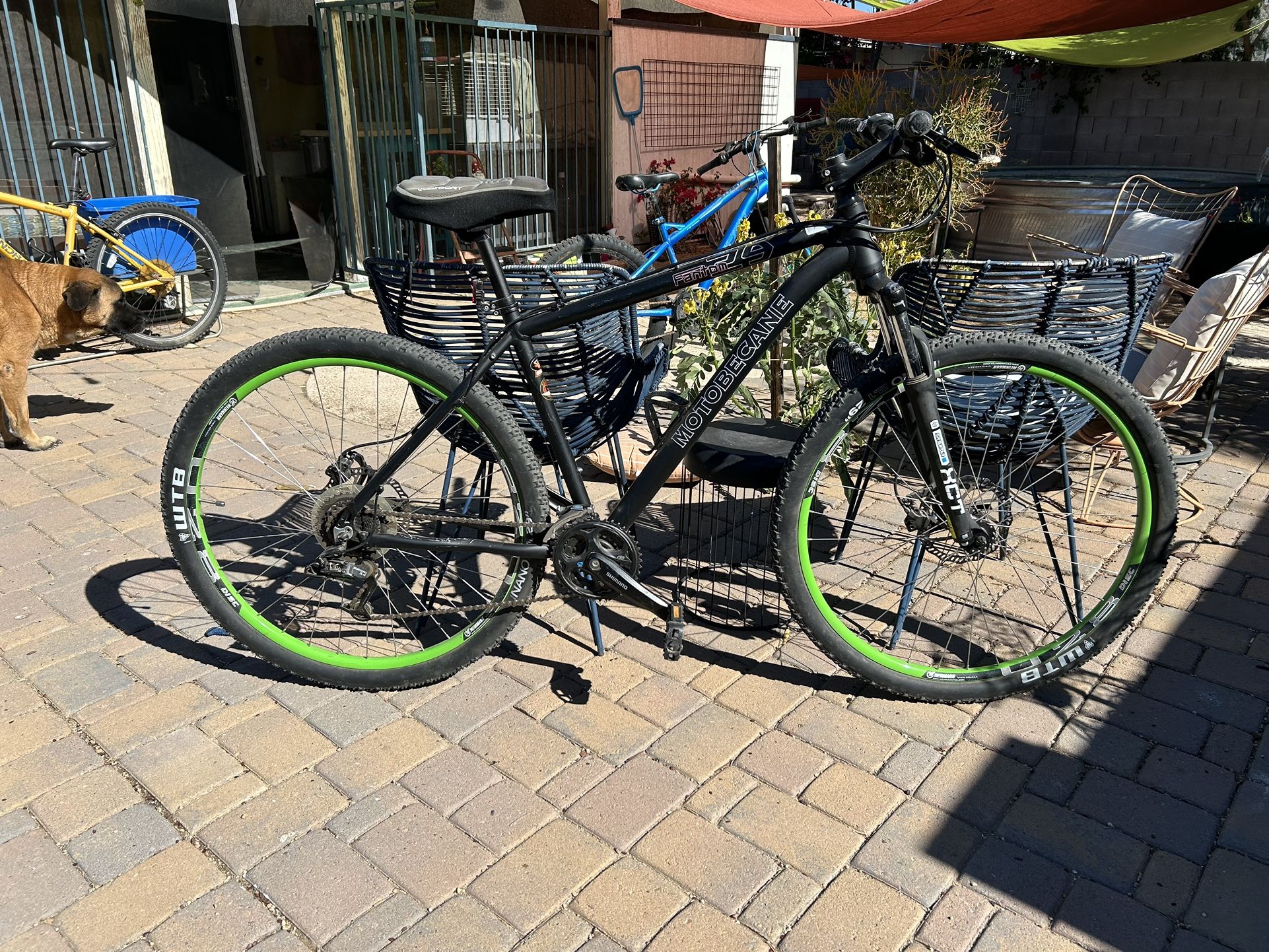 Motobecane Canton 29 Mountain Bike