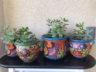 Hand Painted Ceramic Succulent Pots