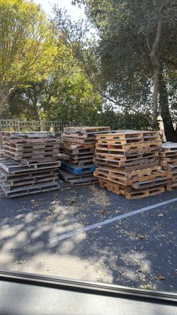Lot of Used Wooden Pallets