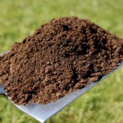 Black Gold Organic Rich Soil 