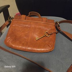Vintage fossil