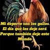 El Gallo 