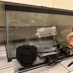 Fish Tank, Filter, Lights, Supplies 