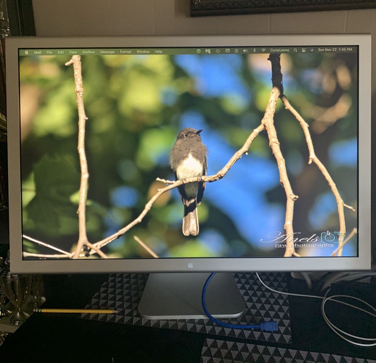 apple Monitor HD Cinema 