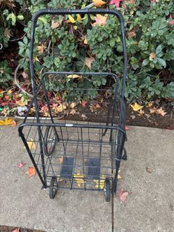 A Basket Shopping Cart