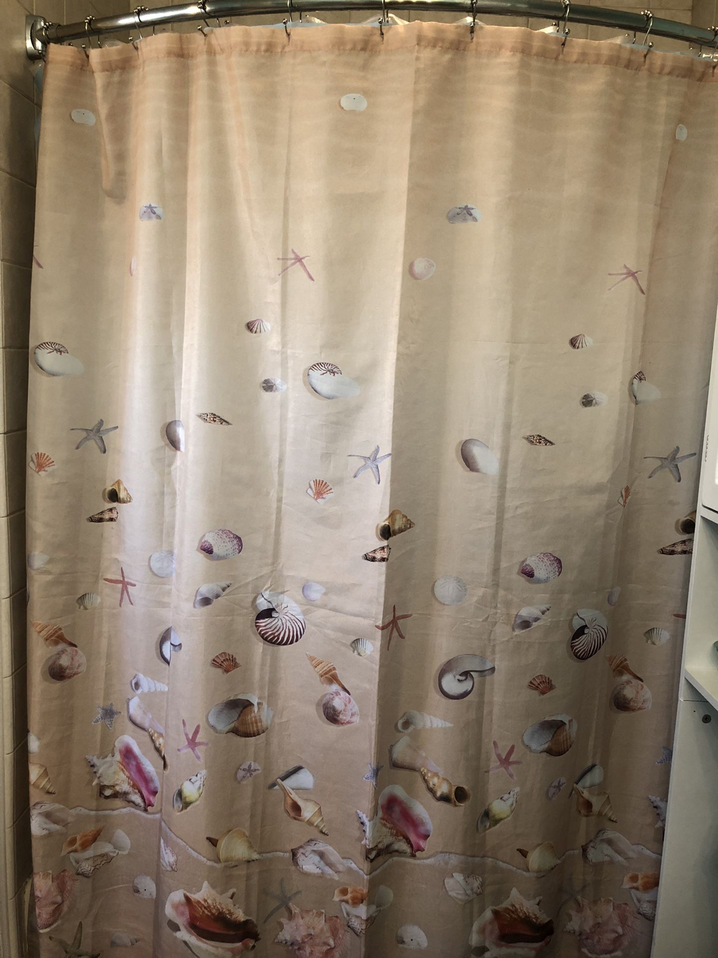 Seashell Shower Curtain
