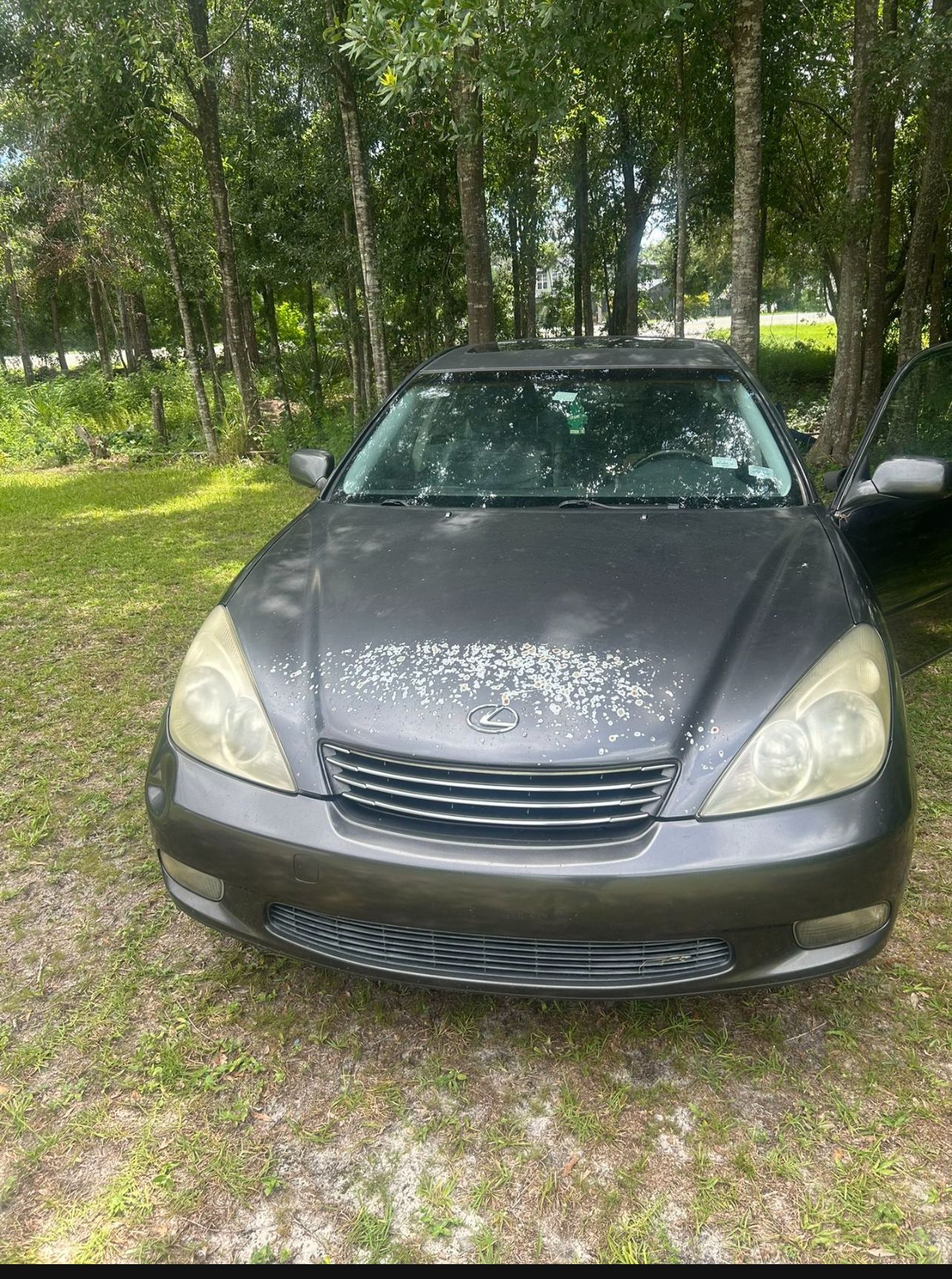 2004 Lexus ES 330