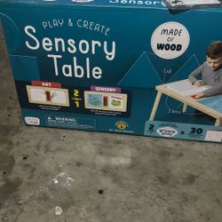 Chuckle & Roar - Play and Create Sensory Table - Indoor Mess Free Fun - Sensory and Tactile Engagement - Great for Preschoolers - Ages 3 and Up