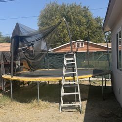 Trampoline 