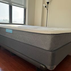 Sealy Queen Size Bed Frame and Mattress Platform and Mattress