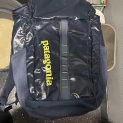Patagonia Backpack 