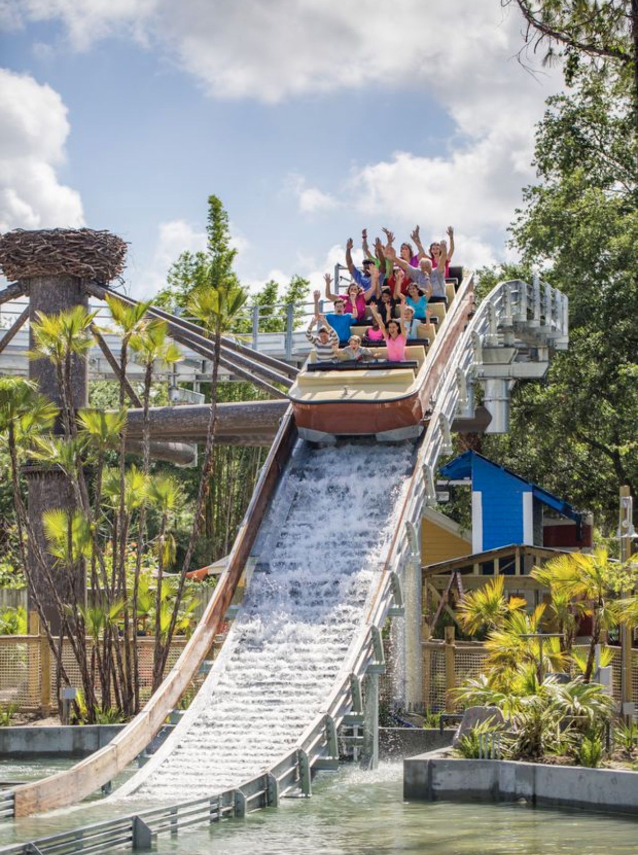 Single Day Tickets To Lowry Park Zoo (4)