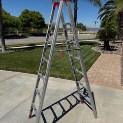 Folding Ladder
