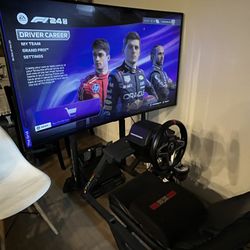 Selling Simulator Car And Tv