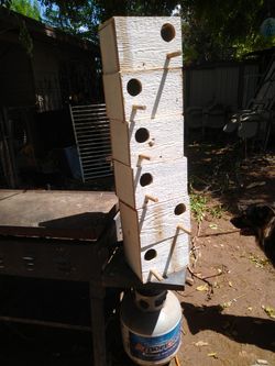 Nidos Para Pájaros