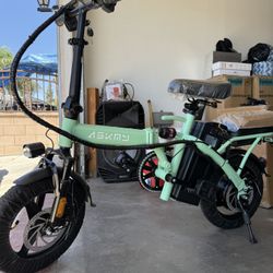 Electric Bike