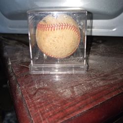 Baseball Case