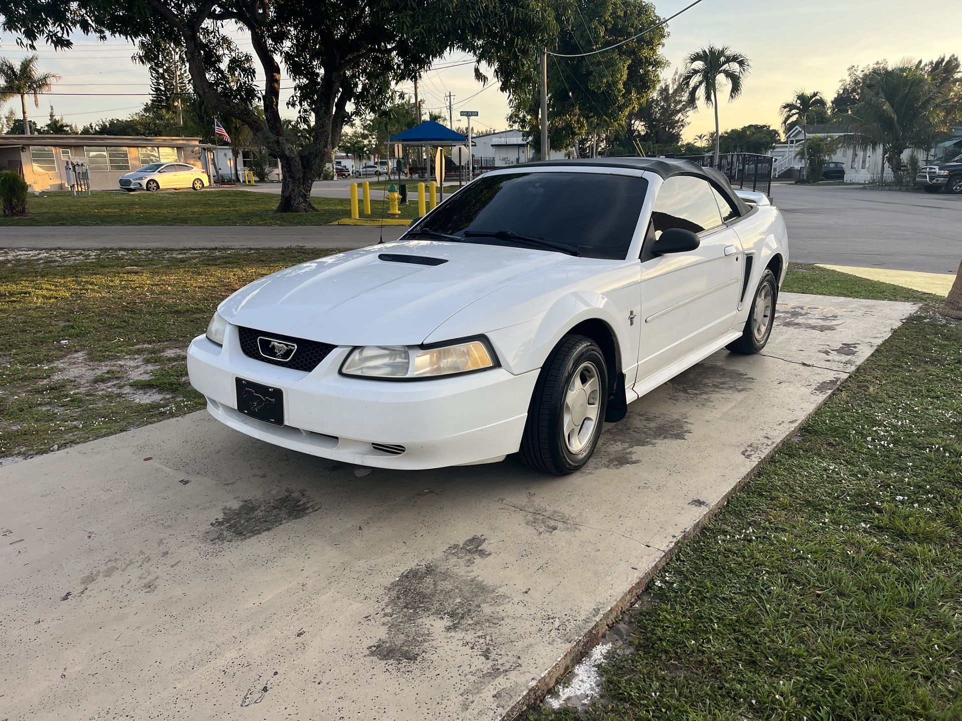 2000 Ford Mustang