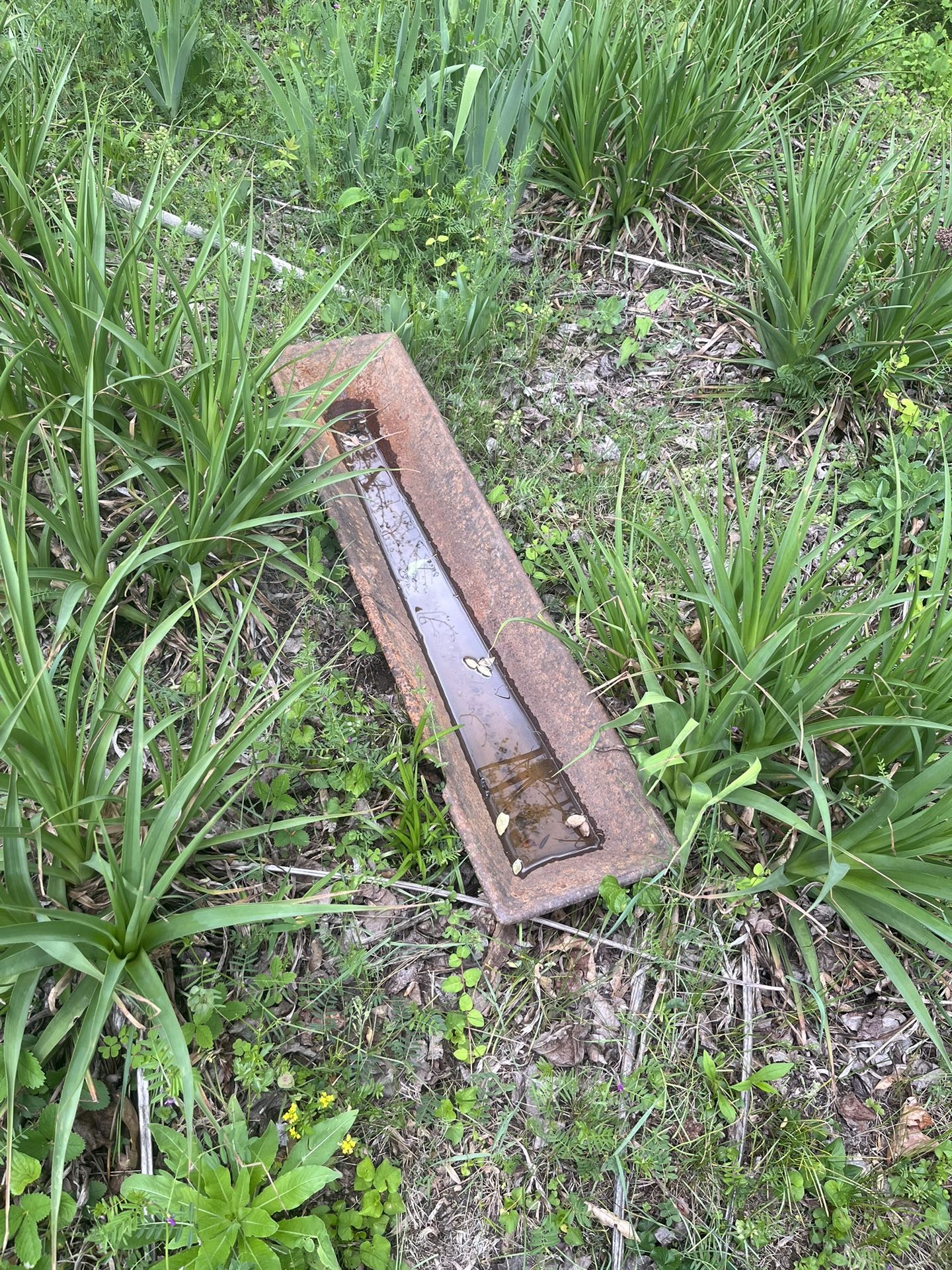 Hog Trough