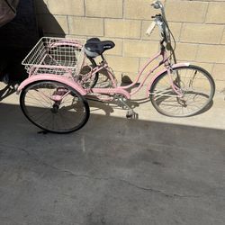 Vintage Schwinn 3 Wheeler Needs Restoration 