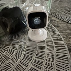 Blink Cameras 