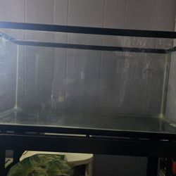 40 Gallon Tank And Stand With Accessories