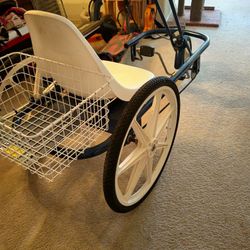 Trailmate joyrider tricycle 2025