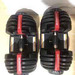 Bowflex selecttech 552 (pair)