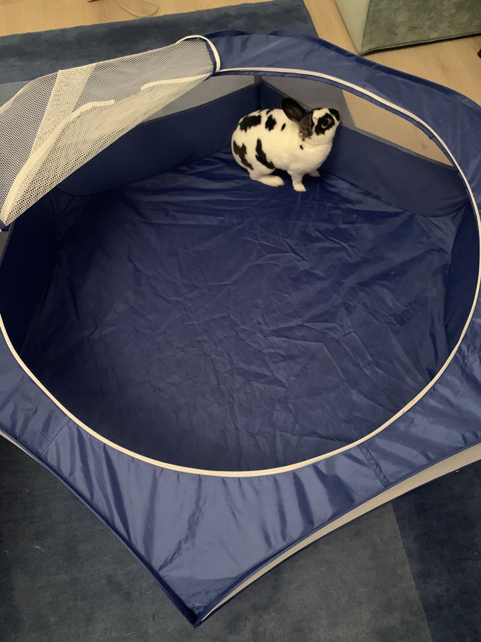Small Animals Playpen