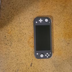 Nintendo Lite
