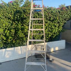 8ft Ladder 