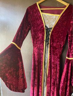 Medieval Maiden costume