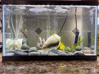 10 Gallon Aquarium / Fish Tank Setup! Great Condition