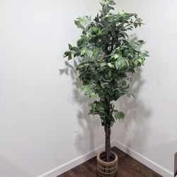 6 ft Faux Plant