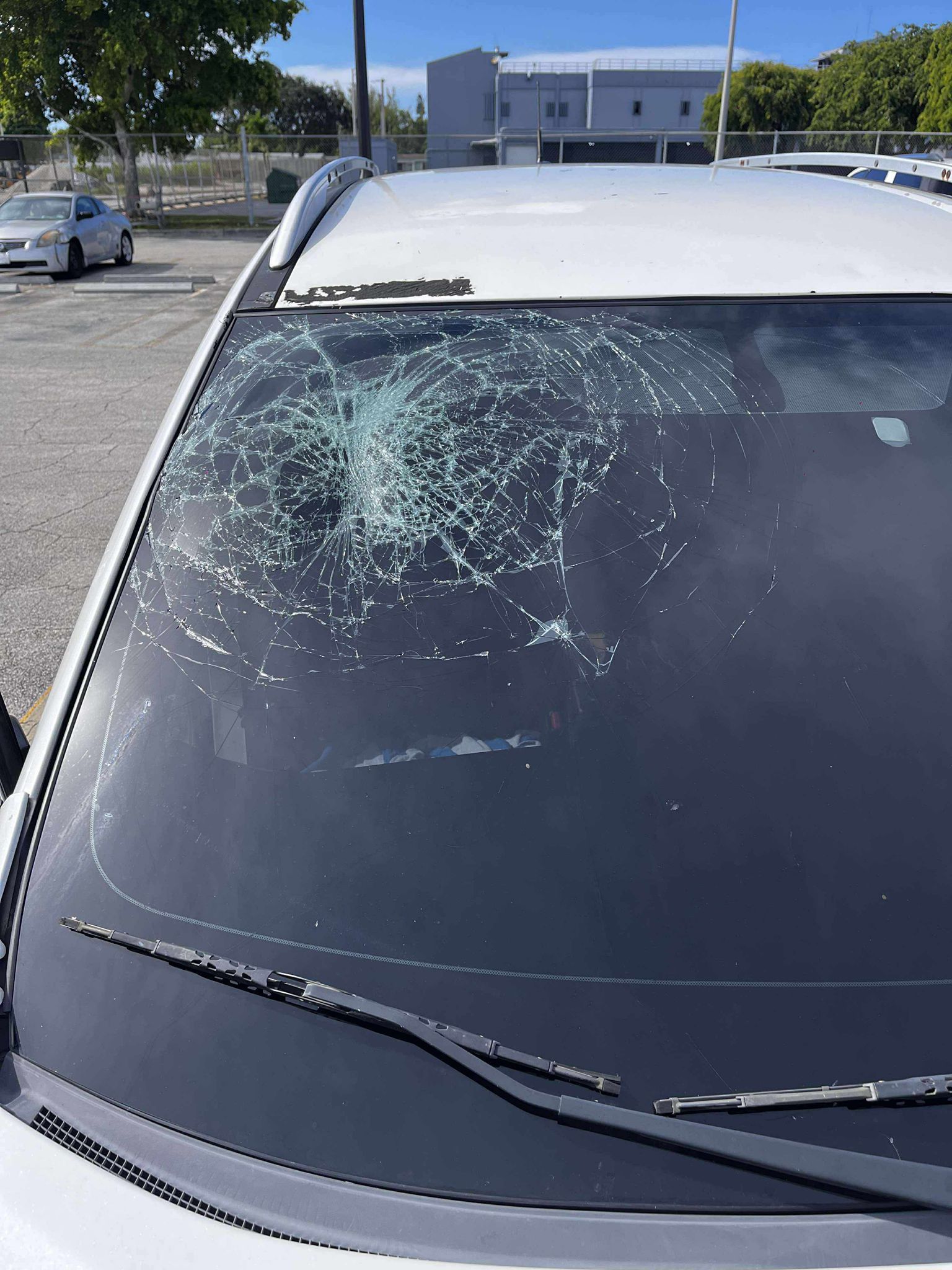 Windshield