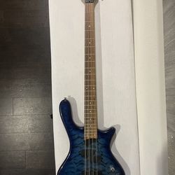 Washburn Taurus T14 Base Guitar Tiger striped