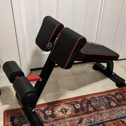 NEW Folding Sit Up Ab, Roman Chair, Workout Bench

