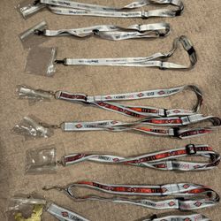 Lot 9 Silver Disney Cruise Line DCL Castaway Club Lanyard Clip Adjustable