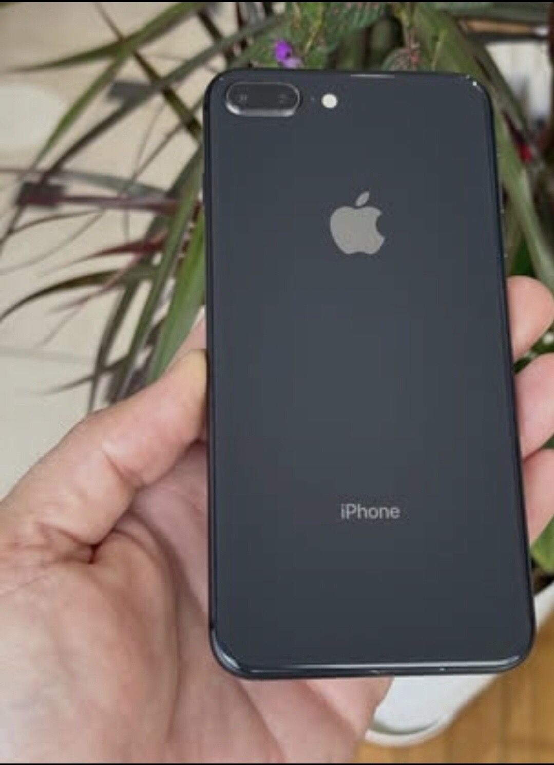 iPhone 8 Plus