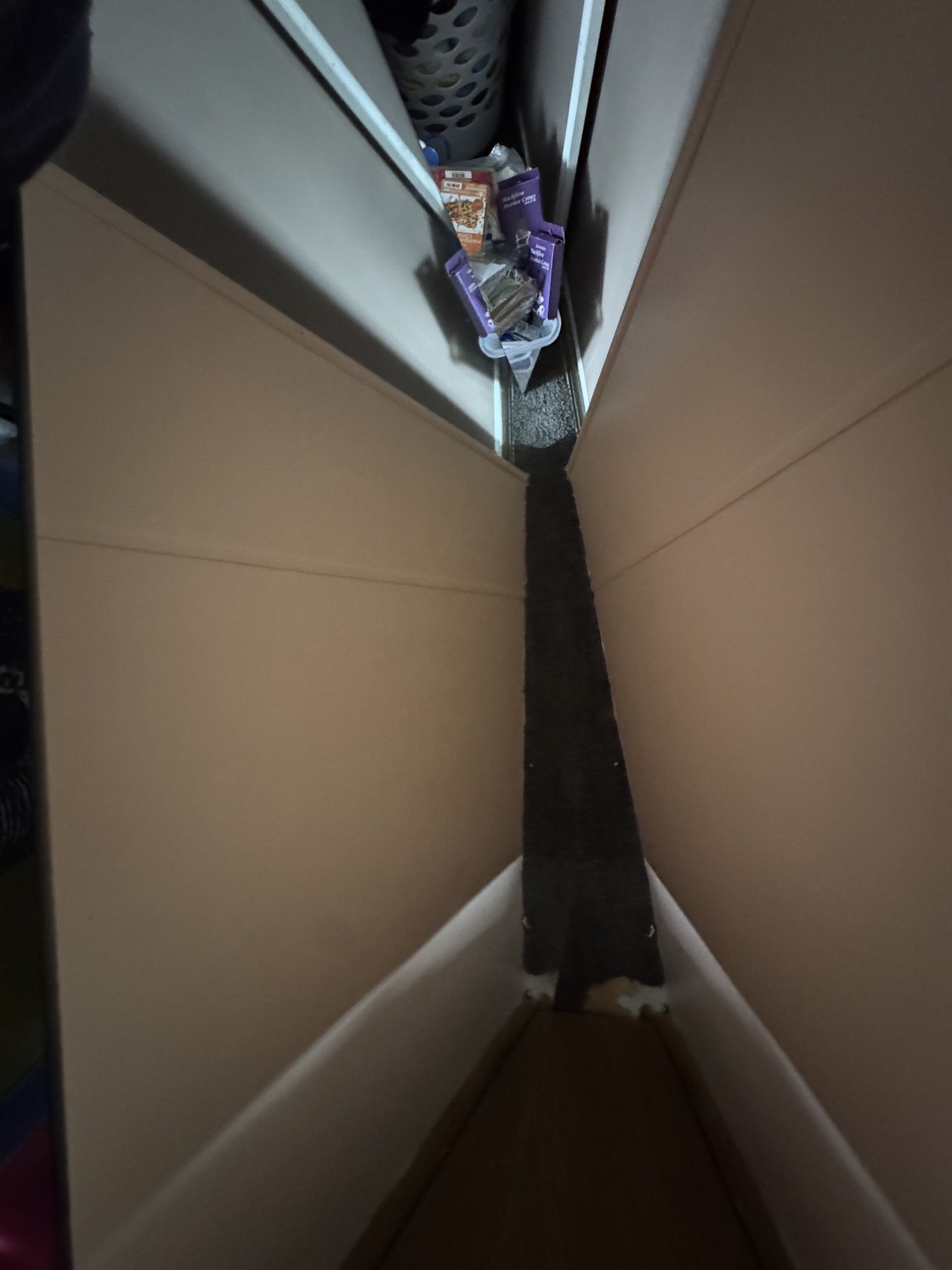 Large Mirror Approx. 46x40