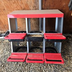 Nesting Boxes