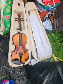 Viola
