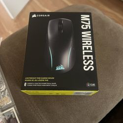 M75 Wireless Mouse 