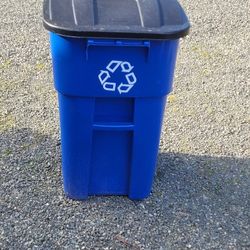 Large Recycling Bin