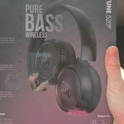 JBL Headphones 520