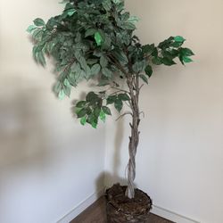 Faux Artificial Plant